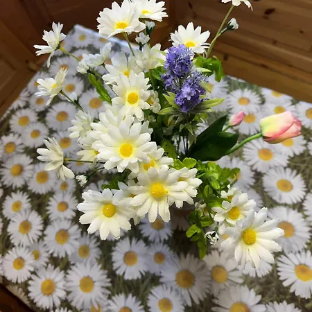 Appartamento Casa Margherita - *